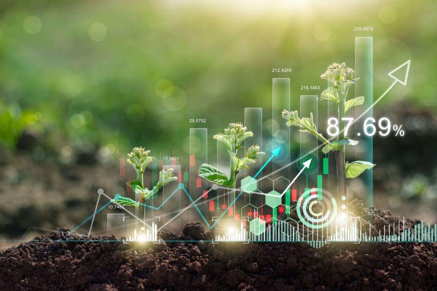 Sua empresa é financeiramente sustentável?
